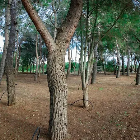 Relais D 'itria Grottaglie