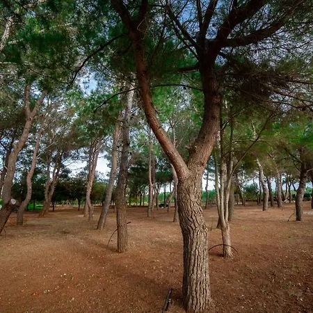 ベッド・アンド・ブレックファスト Relais D 'itria 4*