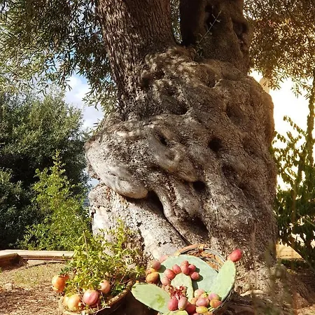 Bed & Breakfast Relais D 'itria 4*