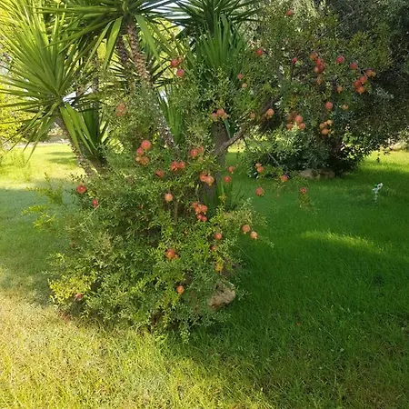 Relais D 'itria Grottaglie