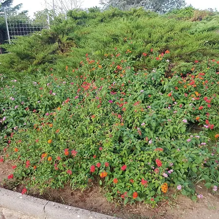 Couette-café Relais D 'itria 4*